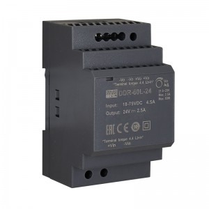 Przetwornica - DDR-60L-24