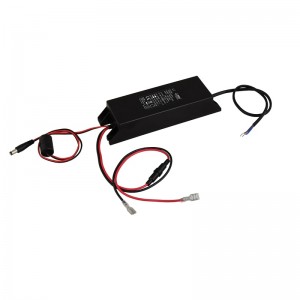 Zasilacz buforowy - PSCLB13830