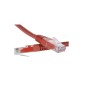 Patchcord kat.6 U/UTP - PC-6UTPPVC-BK0.5